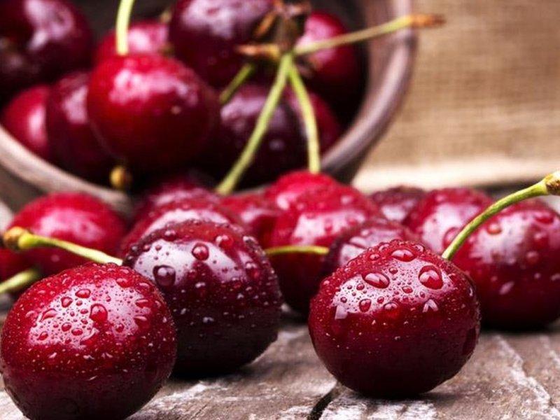 Вишня купить саженцы из питомника в Дербенте